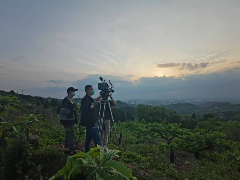创意破圈！海林市电商产品宣传视频用故事化叙事引爆流量