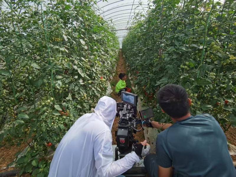 海林市产品宣传视频拍摄公司进阶指南，助力品牌抢占传播高地